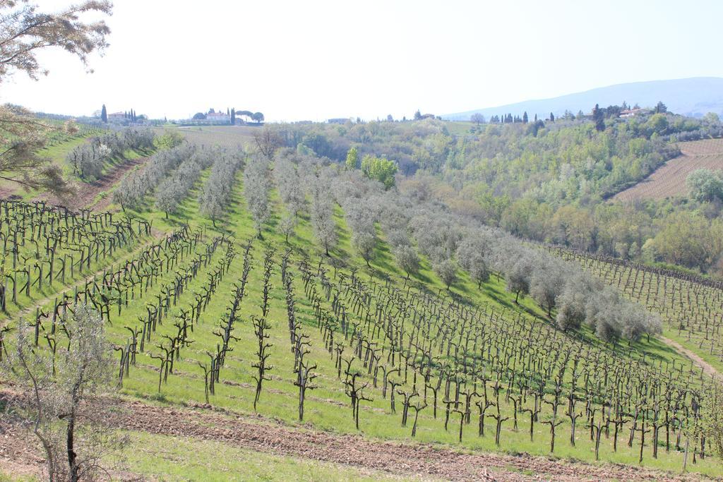Bio Agriturismo Podere Pretoia Сан Джиминяно Екстериор снимка